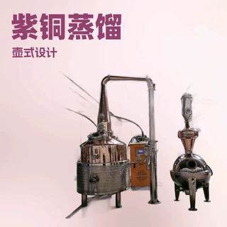 厂家直供壶式蒸馏器紫铜蒸馏器酿酒设备可定制