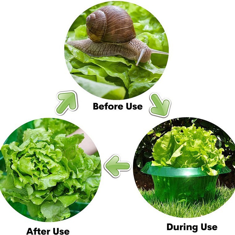 加厚蔬菜保护罩蜗牛挡圆形方害虫保护罩农业防护绿色透明植物罩|undefined