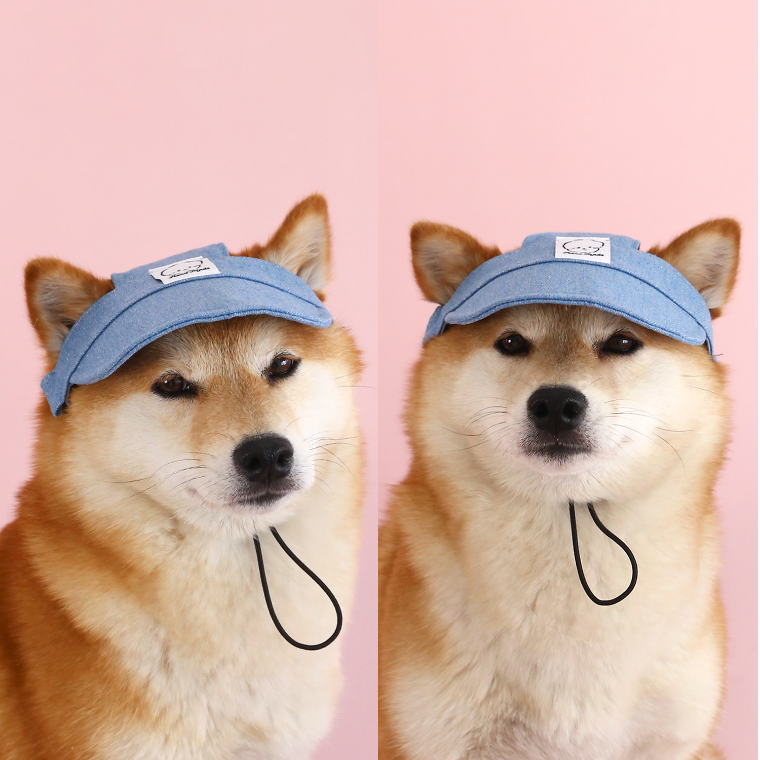 Sombrero de mezclilla para el sol para mascotas Gato Gorro de visera para perros pequeños y medianos Bordado de dibujos animados lindo Sombrero de cabeza Shiba Inu