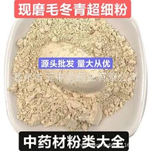 毛冬青粉 纯天然正品中药材 现磨毛冬青超细粉 量大从优 源头批发