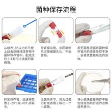 贵州省木屑颗粒粉碎机木头打粉机树枝木头破碎机种菇食用菌粉碎机今日多少钱