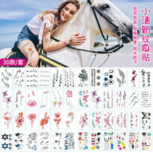 С¼yNԸмyNӢļyNnF؛lSֱ