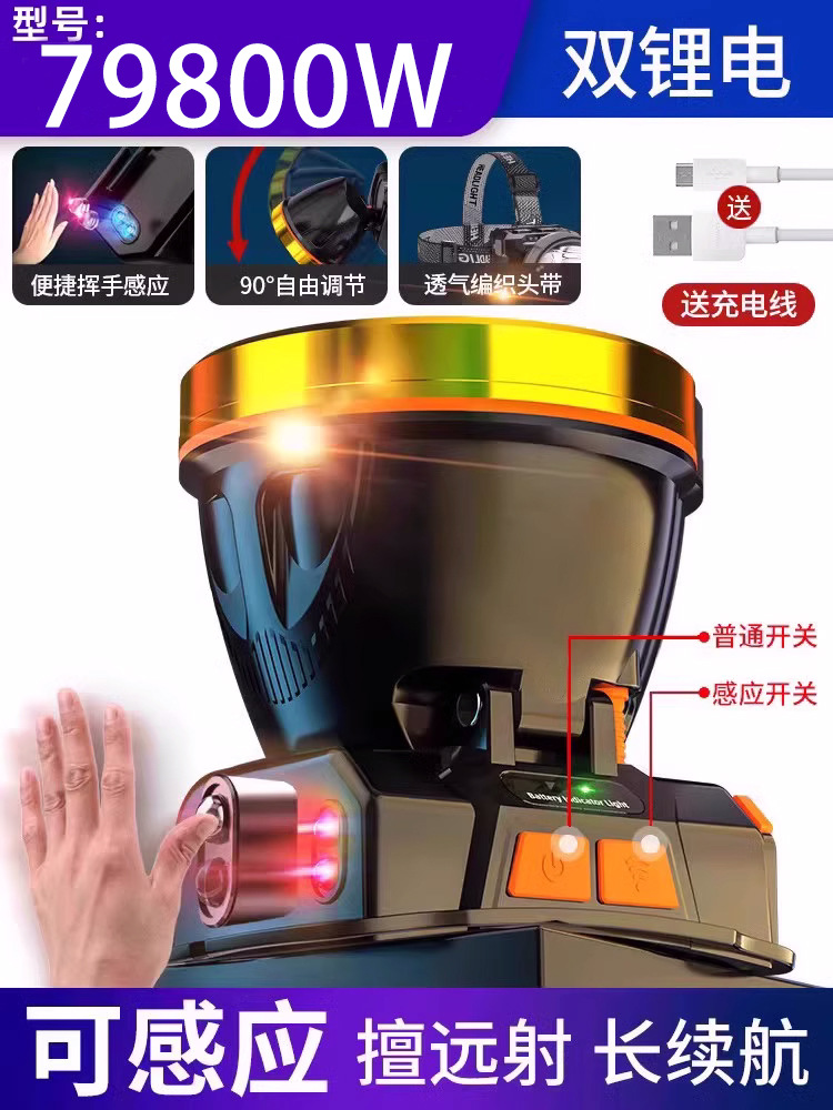 79800W 500 시간 유도 + 충전 보물 기능 + 전기 디스플레이 더블 리튬 배터리