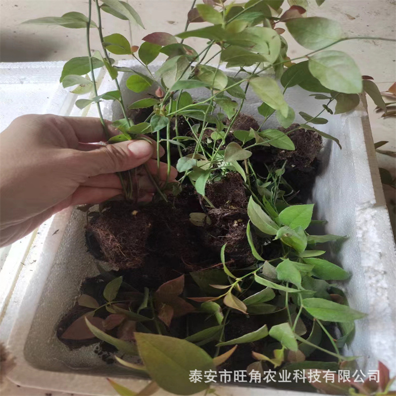 a0af9ba5b1f973f276e26091ba9dda