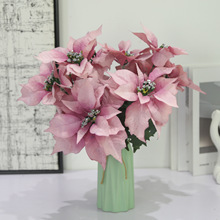 �S��ֱ�����ƿ��Ĕz���߼Ҿ��b����}�Q��