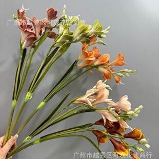 ���^�n�m������PU��ѩ�m���滨�ٻ��껨�zӰ���߼ҾӔ[���廨�OӋ