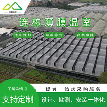 ���ƺ����B�w��Ĥ���� �Η��߲˷Nֲ�� ��������� ���ϱ�Ĥ���w