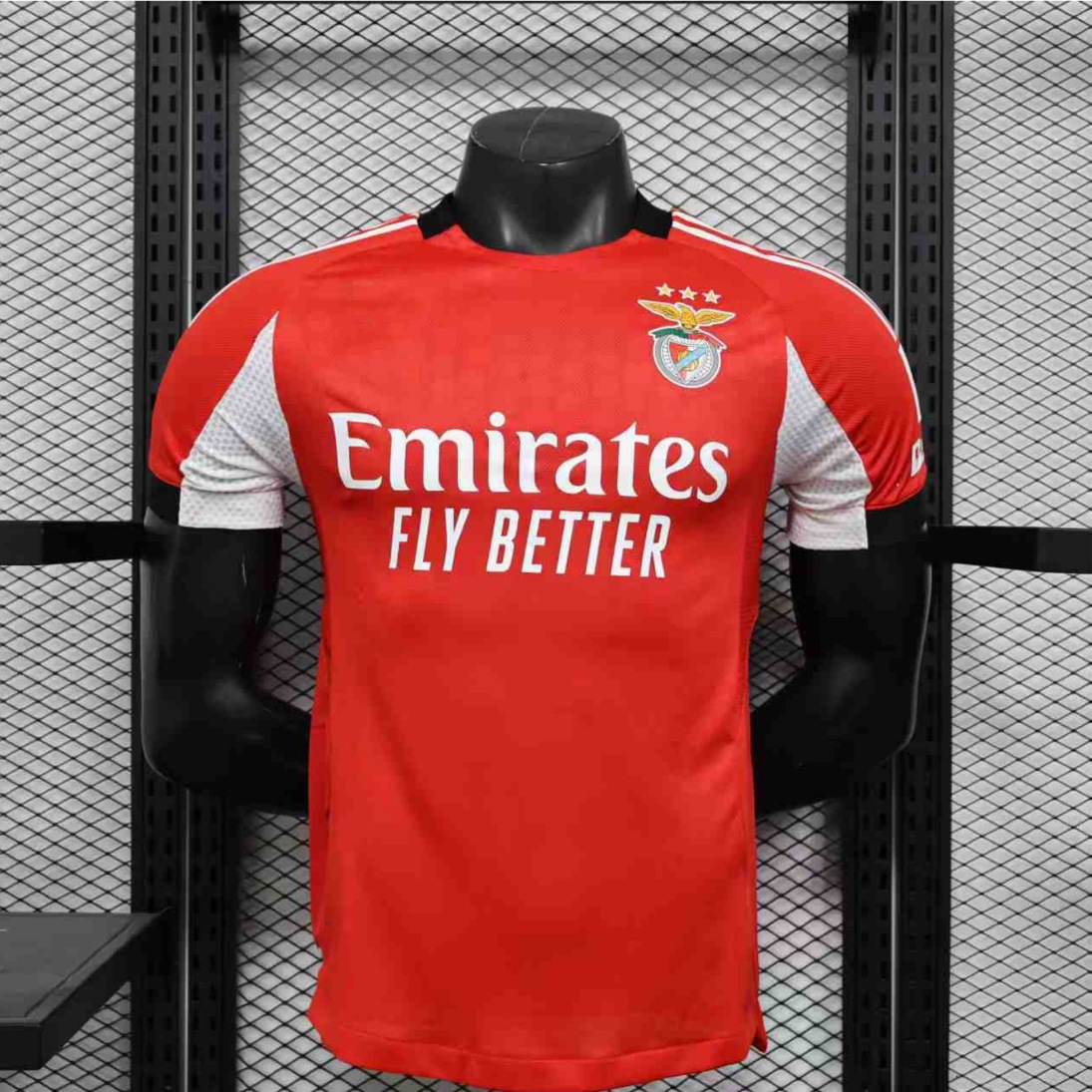 플레이어 2526 벤피카 홈