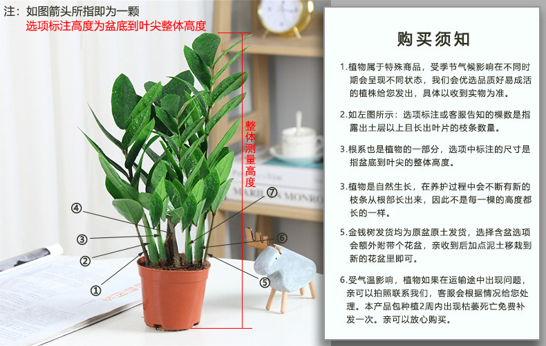 gm6WifKnzdTvlDvQUnfVcyOjypdWI/jeFnBA