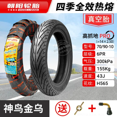 Vehicle Vacuum Tire Explosion-Proof Tire | Non-industrial tires - 14250-chaoyang-6-layer-four-seasons-full-effect-hot-melt-tubeless-tire-1-year-warranty
