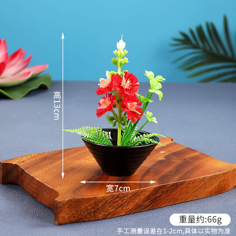 酒店菜品摆盘装饰点缀冷菜装饰花草摆盘刺身绿毛球三文鱼摆件围边|undefined