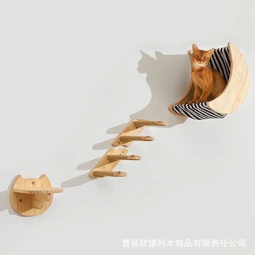 微信图片_202408171434392