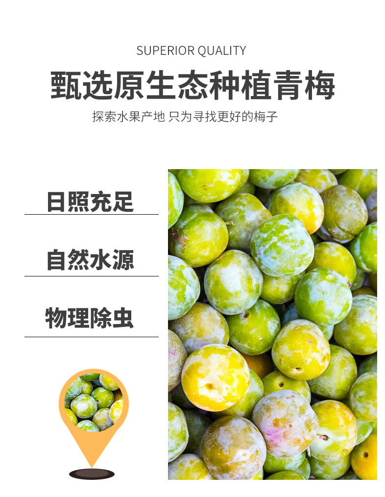 Japanese Style Perilla Plum Slices 500g Bag Zisu Mei Bing Dried Preserved Plum Snack with Chenpi specifications