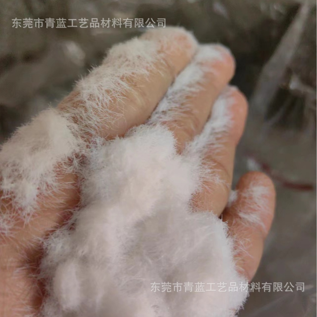 2024-01-11 09:00:10.jpg