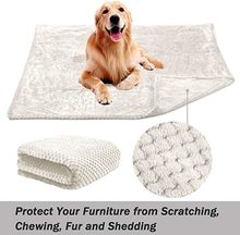 ���R�d����W��ë̺���}��ɺ���q̺��ϥ�w̺���QСë̺����̺���l