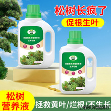 �ɘ䌣�àI�BҺ���ϼ�������ֲ��Һ�w���҃��B���Gֲͨ���Ͱ��]��