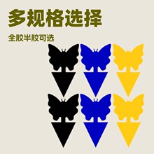 ����ճ���˫��ư�����ο羳��ó�������ճ�����ճ����軨��