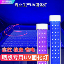 LEDuv固化灯紫外线灯管照射灯uv胶光固化灯曝光灯 网版丝印晒版灯