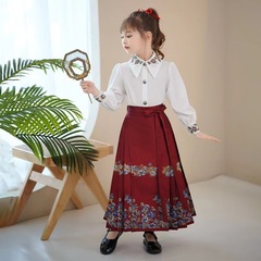 Girls' Hanfu Spring and Autumn Style Chinese-style Older Children's Ma Mian Skirt Hanfu Set Ming Dynasty Style Embroidered Modified Skirt Tang Dynasty Costume