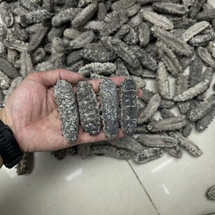 ������ī�����ㅢ���Ѕ������Űʹ̅�����ɺ���؛���l15��50�^