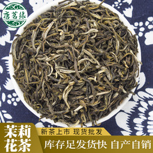横县茉莉花茶厂家茉莉飘雪茉莉绿茶 批发大白毫 茉莉花茶2025新茶