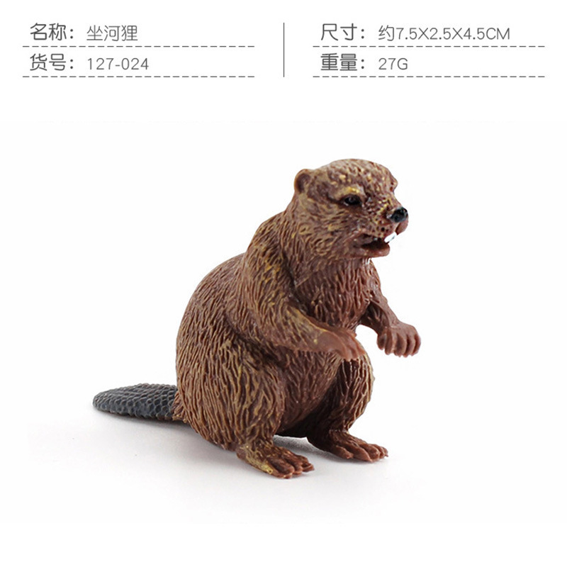 PL127-024 sentado Beaver 27G