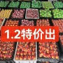 打印指尖按压爆款陀螺