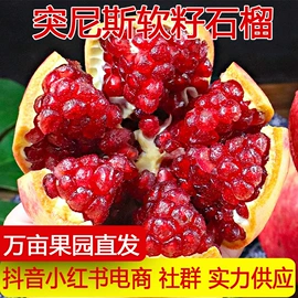 苹果;其他水果;柚