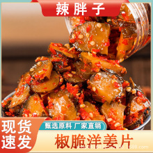 湖南特产腌制洋姜咸菜下饭菜248克瓶装农家椒脆洋姜片辣酱香辣