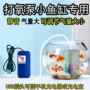节能车载静音家用氧气泵