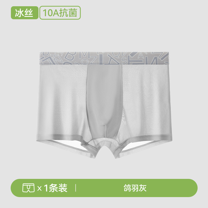 Pluma de paloma gris