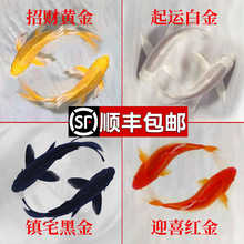 �\���~��ˮ��ˮ�~���~���^�p�~���~�t���~С�ͺ��B�ͻ�NС�\��