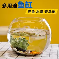 Transparent glass small aquarium for office
