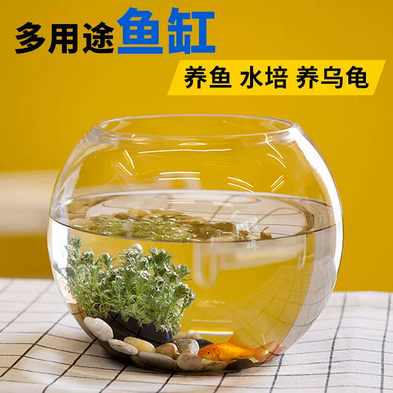 Transparent glass small aquarium for office