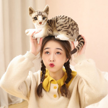 �¿����؈����ż�����ë�q؈���ͶY��ë�q��߃�ͯ��������ż