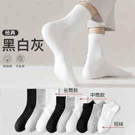 运动休闲棉袜;船袜、隐形袜;睡眠袜