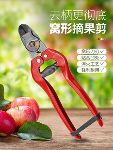 �O���C�͹��Ѽ��C�Ӽ�����������ժ����Ě�ȹ������ɹ�����֦����