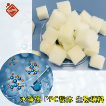 PPCdw z Hˮd ۰ˮ^VdSֱN