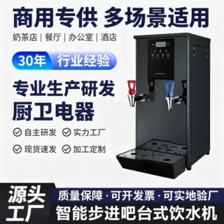 跨境电热开水器大容量开水机奶茶热水器全自动烧水器吧台式饮水机