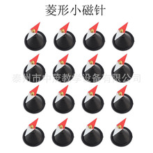 ���a�S�� 24007����С��ᘳ��������� 16ֻ�b С�W�ƌW �̌W�x��