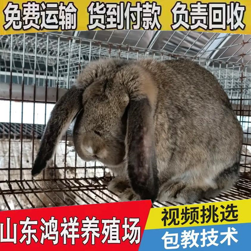 u=1326669700,2224318297&am