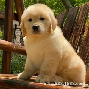 ���N��ë��Ȯ���wِ����ëȮ��äȮ����������Ȯ���B��ëȮ���ﹷ