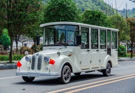 其他电动车;电动观光车;库存交通工具