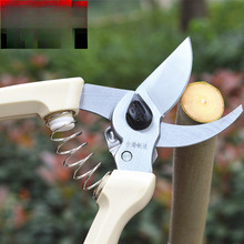 ̨��ԭ�b�M��������130�@ˇ������֦���������֦���辰����֦��