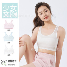 新款一阶段小学初中生少女文胸女童背心防凸点发育期内衣透气舒适