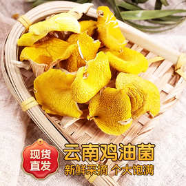 鸡油菌干货云南野生菌类特产店新鲜干黄丝菌黄金菇榆黄菇煲汤食材