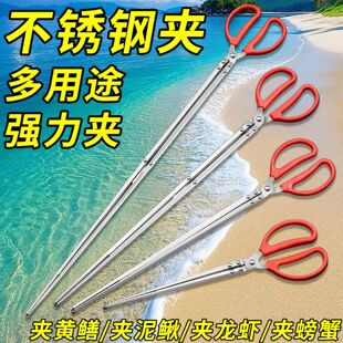 Eel Clip, Eel Gripper, Loach Crab Non-Slip Lobster Catching Tool, Special Tool for Beachcombing, Fire Tong Eel Clip