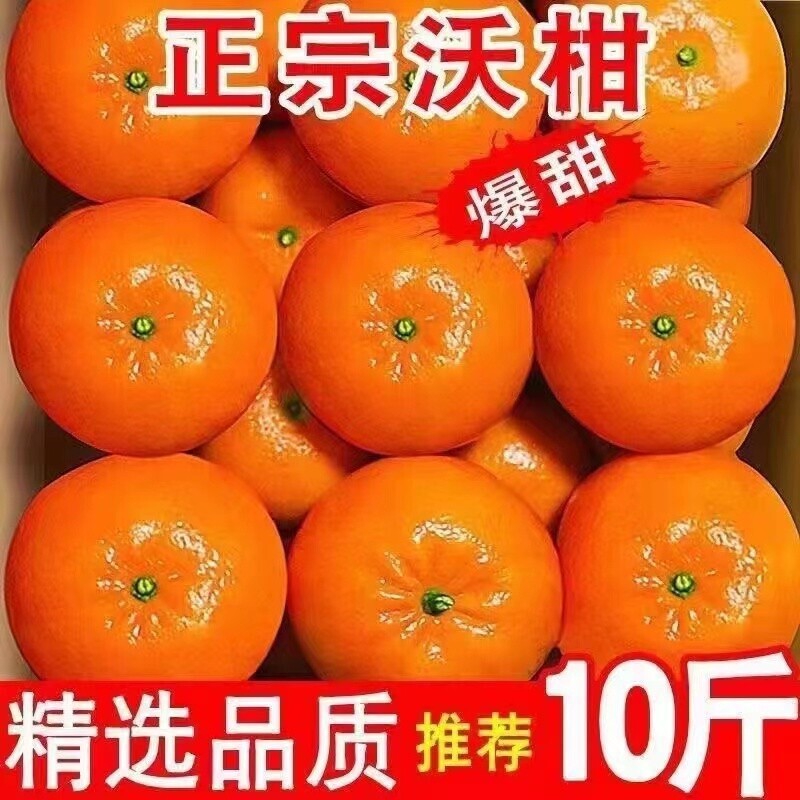 Fresh Seasonal Fruits from Wuming, Guangxi: Whole Box of Sugar Tangerines, Sugar Oranges, and Other Citrus Fruits