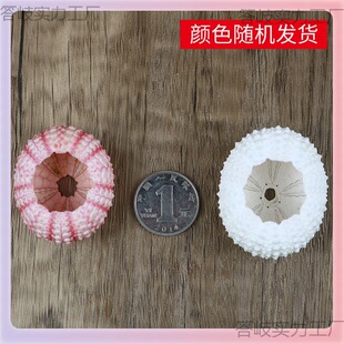 ����?�˱��Ҿӹ�ˇƷ�b�đ���躣đ��̨����ؐ����Ȼ�՚��P��