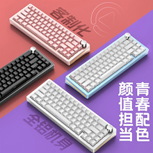 Y65�����X����Cе�I�P�׼� 65%����RGB�о�gasket�����Α����O